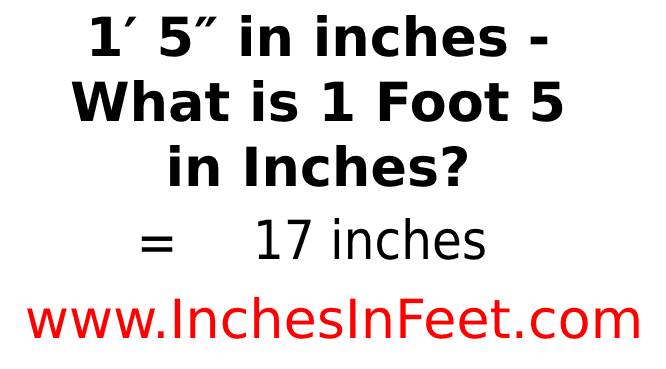 1 Foot 5 to inches