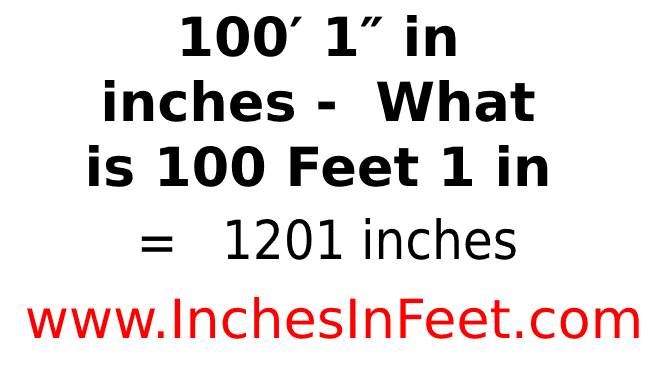 100 feet 1 to inches
