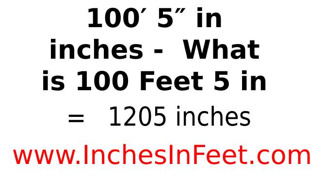 100 feet 5 to inches
