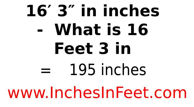 16 feet 3 to inches