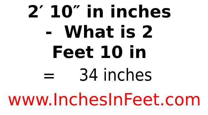 2 feet 10 to inches