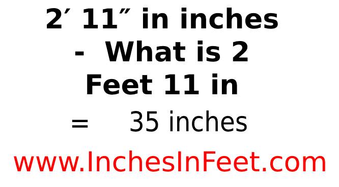 2 feet 11 to inches