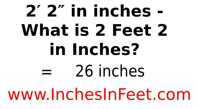 2 feet 2 to inches