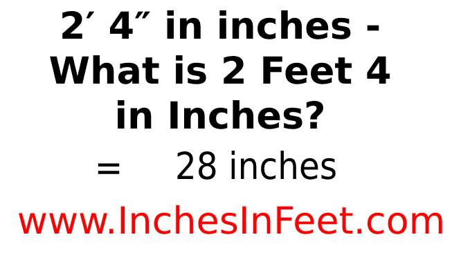 2 feet 4 to inches