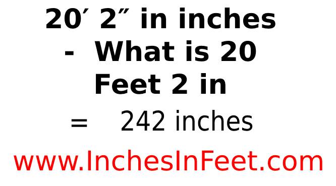 20 feet 2 to inches