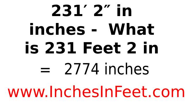 231 feet 2 to inches