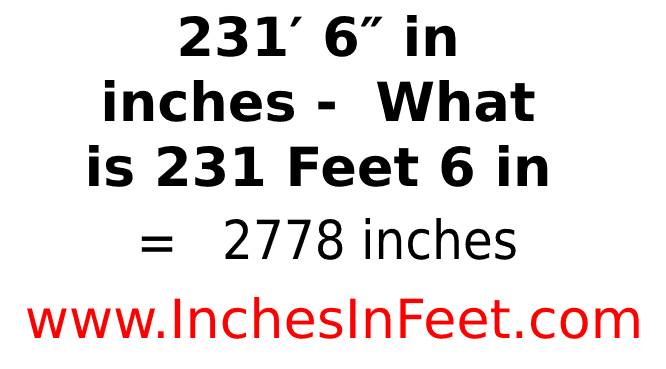 231 feet 6 to inches