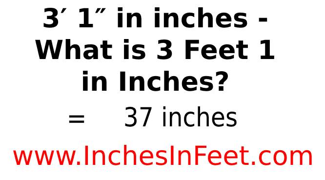 3 feet 1 to inches