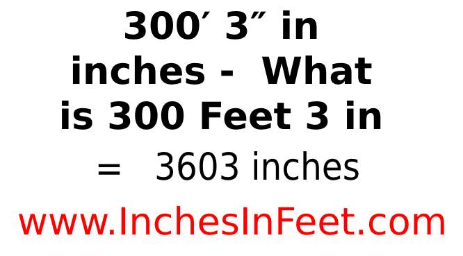 300 feet 3 to inches