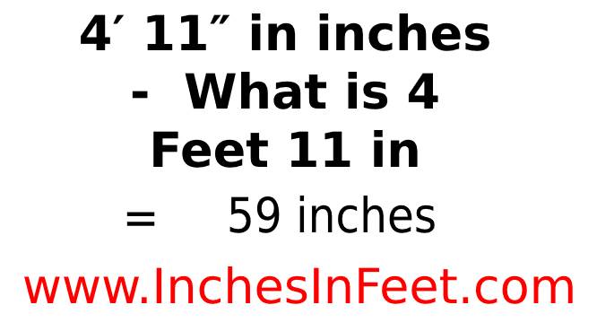 4 feet 11 to inches