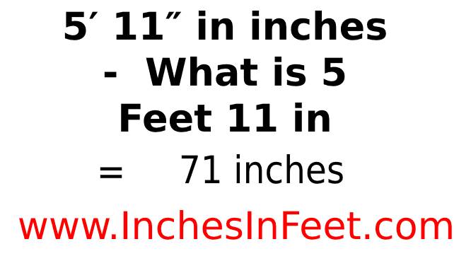 5 feet 11 to inches