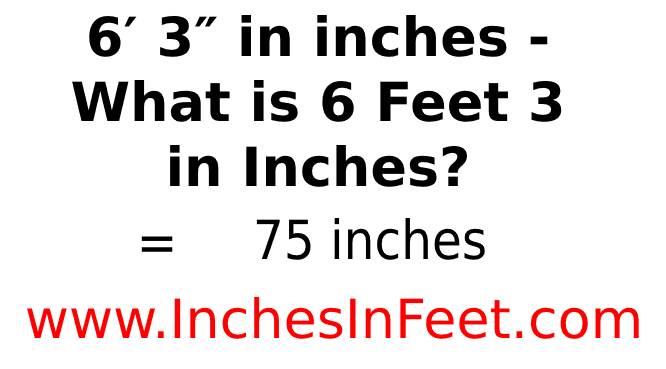 6 feet 3 to inches