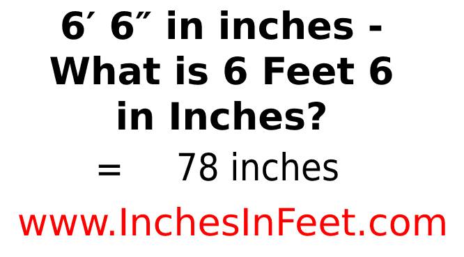 6 feet 6 to inches