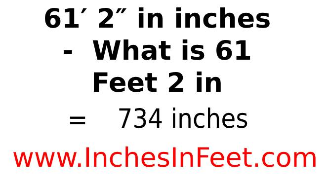 61 feet 2 to inches