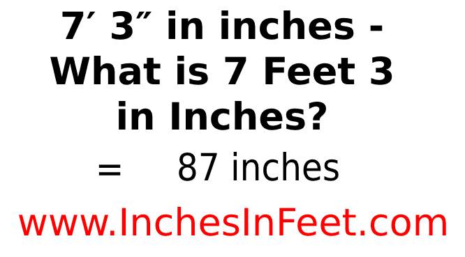7 feet 3 to inches