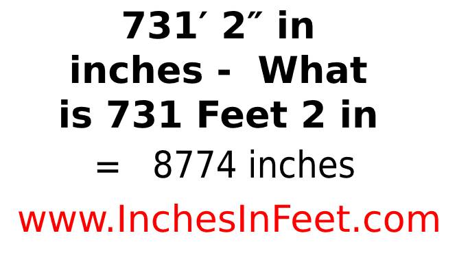 731 feet 2 to inches
