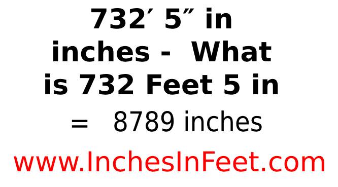 732 feet 5 to inches
