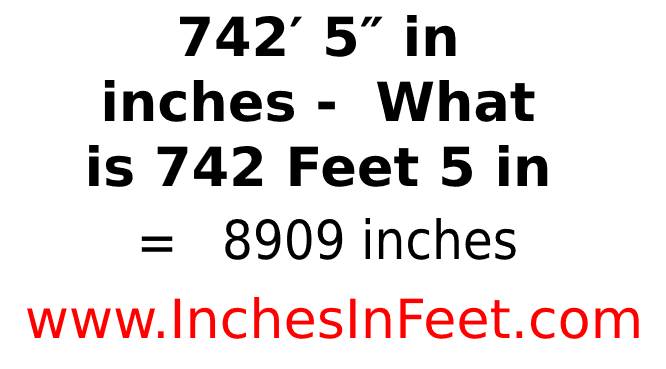 742 feet 5 to inches