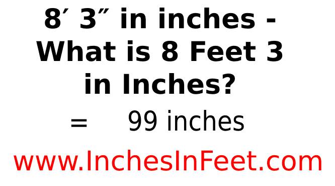 8 feet 3 to inches