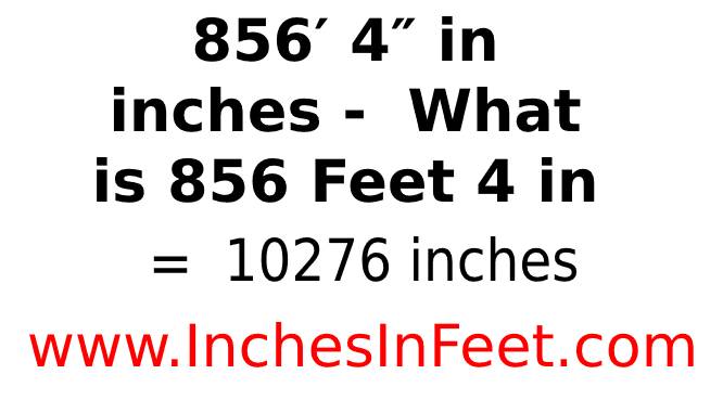 856 feet 4 to inches