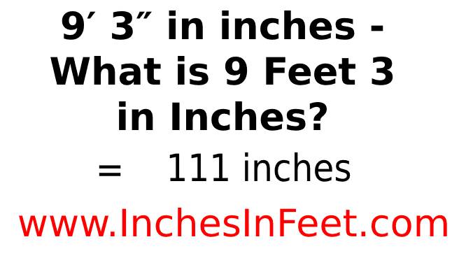 9 feet 3 to inches